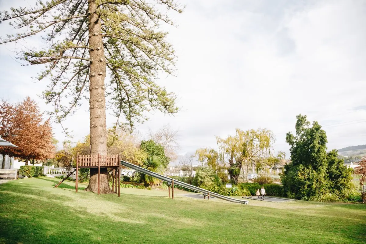The lawns and old trees at the Manor House
